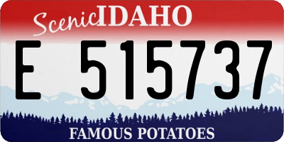 ID license plate E515737
