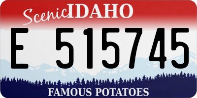 ID license plate E515745