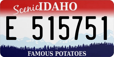 ID license plate E515751