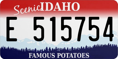ID license plate E515754