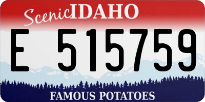 ID license plate E515759
