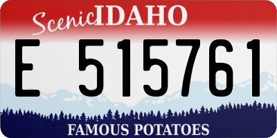 ID license plate E515761