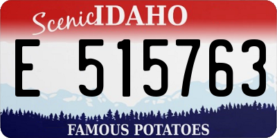 ID license plate E515763