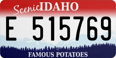 ID license plate E515769