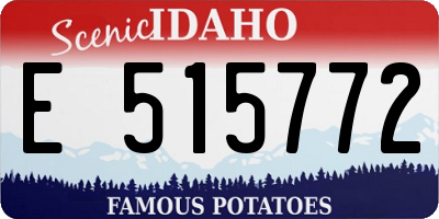 ID license plate E515772