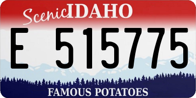 ID license plate E515775