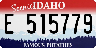 ID license plate E515779