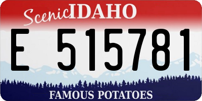 ID license plate E515781