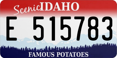 ID license plate E515783