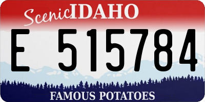 ID license plate E515784