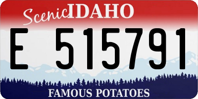 ID license plate E515791