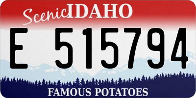 ID license plate E515794