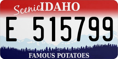 ID license plate E515799