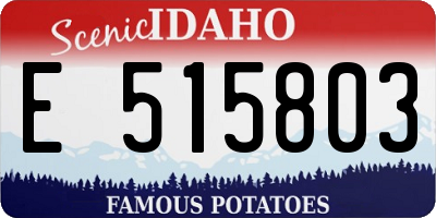 ID license plate E515803