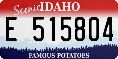 ID license plate E515804
