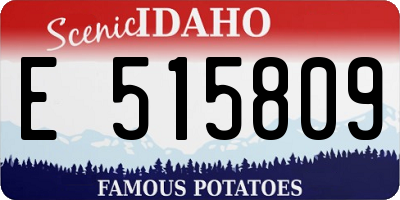 ID license plate E515809