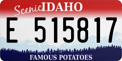 ID license plate E515817