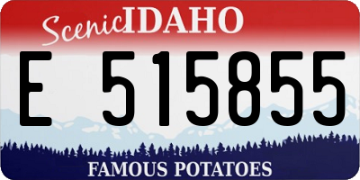 ID license plate E515855