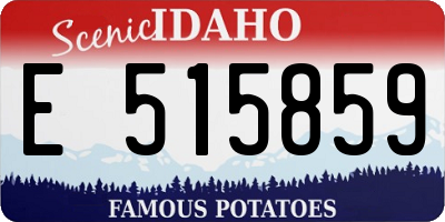 ID license plate E515859