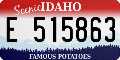 ID license plate E515863