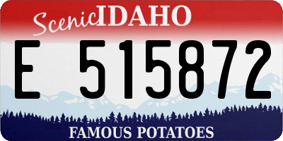 ID license plate E515872