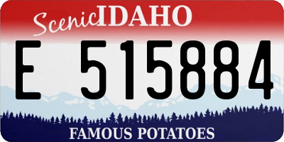 ID license plate E515884