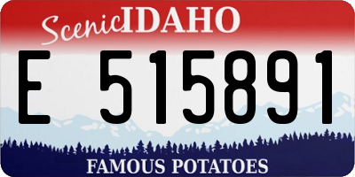 ID license plate E515891
