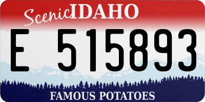 ID license plate E515893