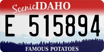 ID license plate E515894