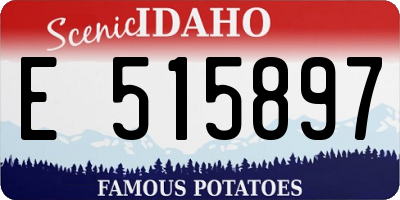 ID license plate E515897
