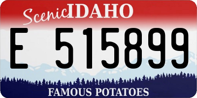 ID license plate E515899