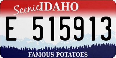 ID license plate E515913