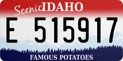 ID license plate E515917