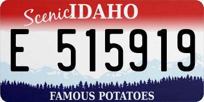 ID license plate E515919