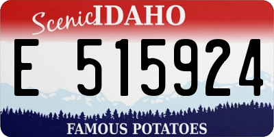 ID license plate E515924