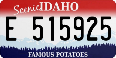 ID license plate E515925