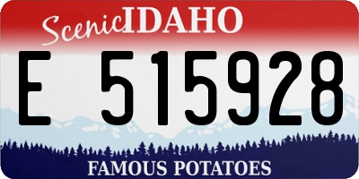ID license plate E515928