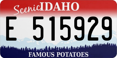 ID license plate E515929