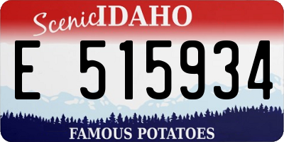 ID license plate E515934