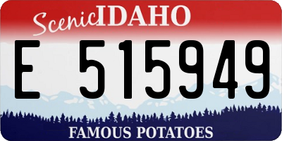 ID license plate E515949