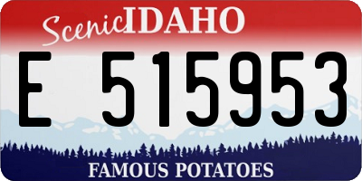 ID license plate E515953
