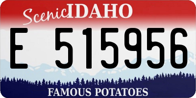 ID license plate E515956