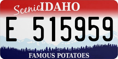 ID license plate E515959
