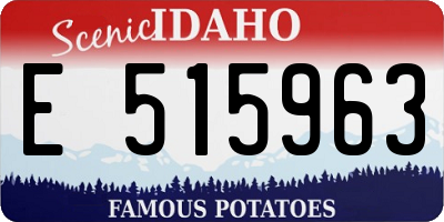 ID license plate E515963