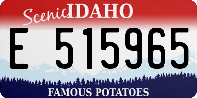 ID license plate E515965