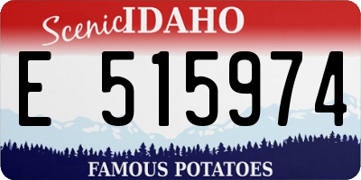 ID license plate E515974