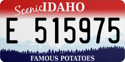 ID license plate E515975