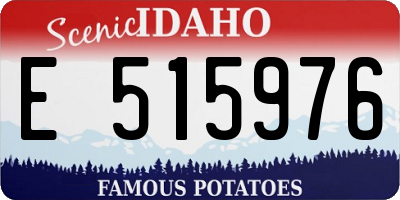 ID license plate E515976