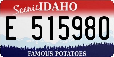 ID license plate E515980