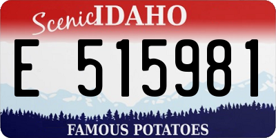 ID license plate E515981